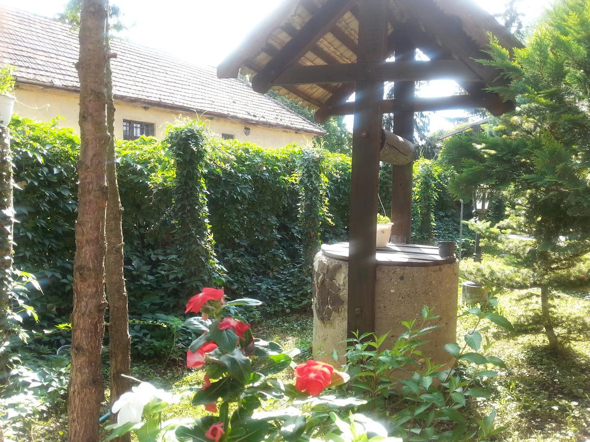 Bed and Breakfast Felso Fogado Felsőtold Exterior foto