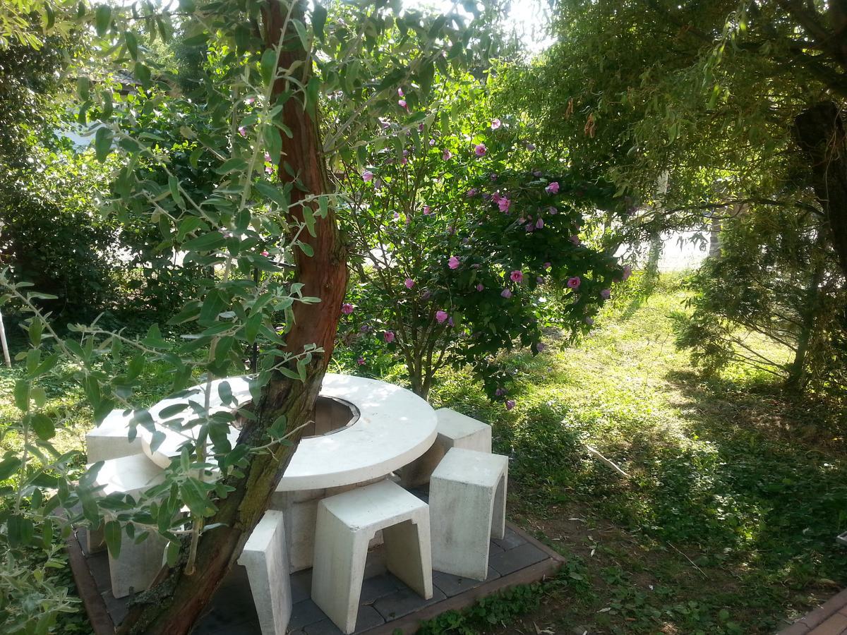 Bed and Breakfast Felso Fogado Felsőtold Exterior foto